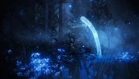 2. ELDEN RING Shadow of the Erdtree Edition PL (Xbox Series X) 